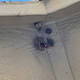 The murder hornet attacking a paper wasp’s nest.